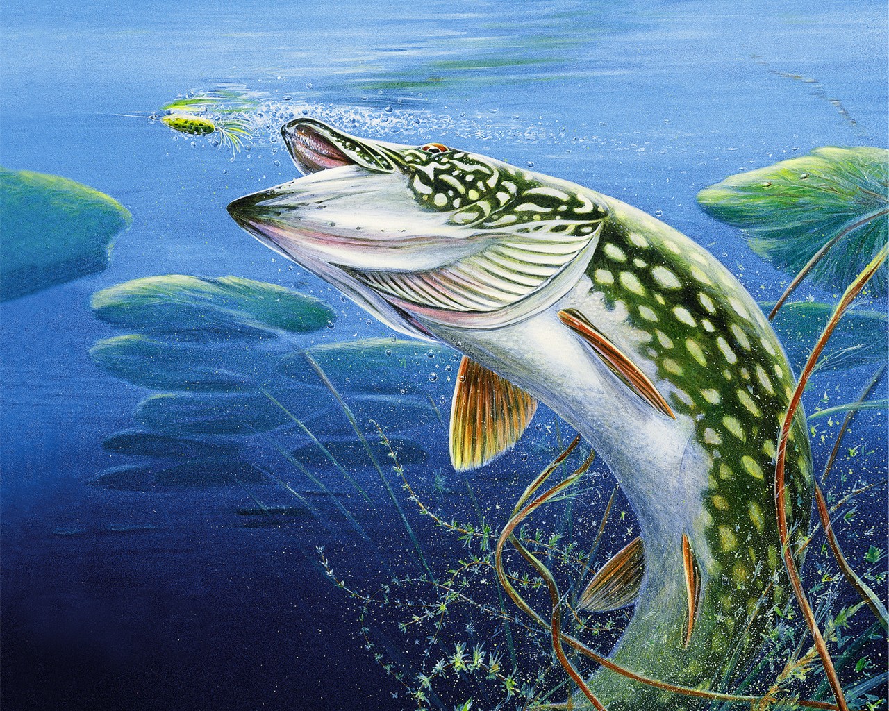 Bass Fishing Desktop Wallpaper