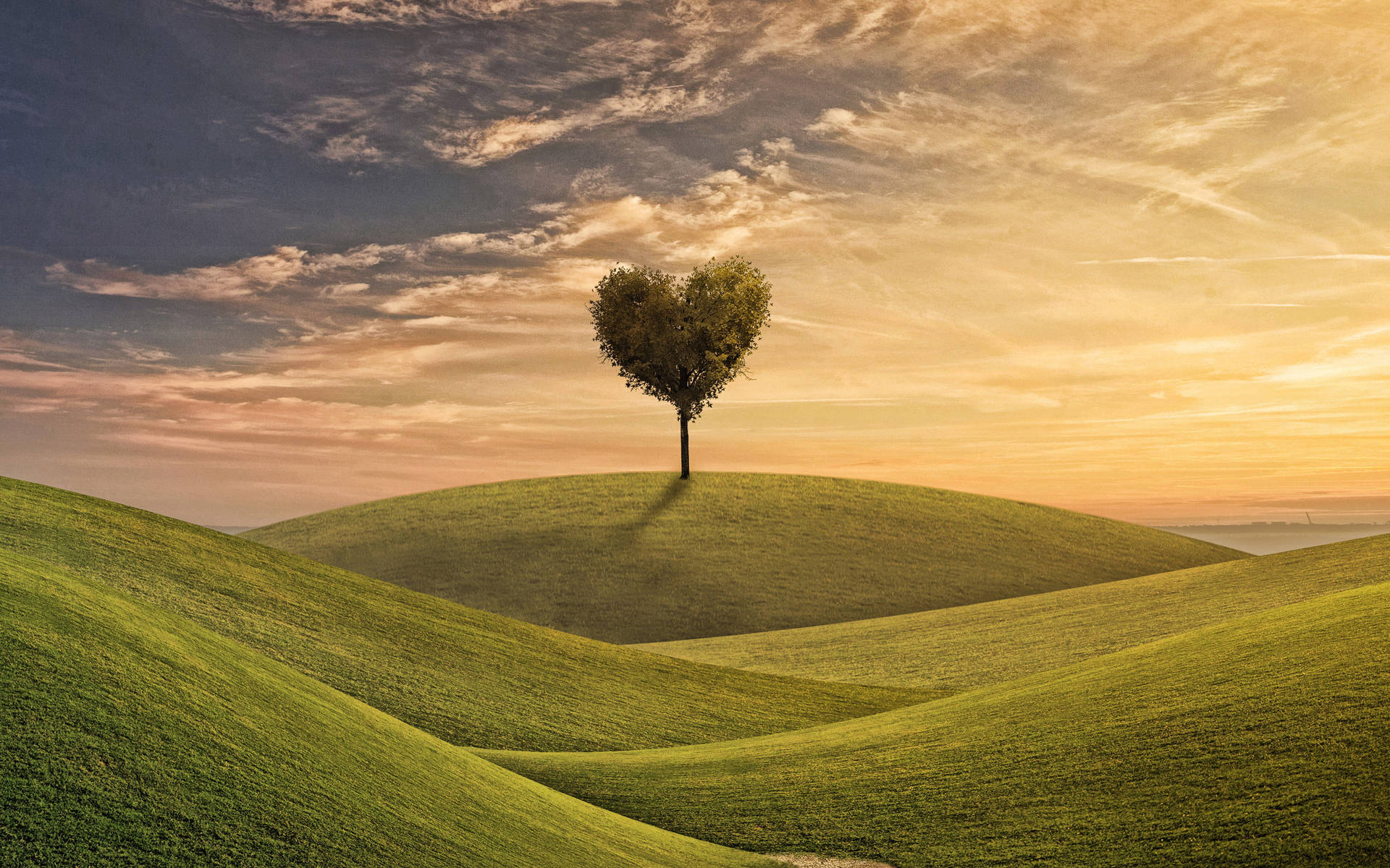 Romantic Nature Background Wallpaper