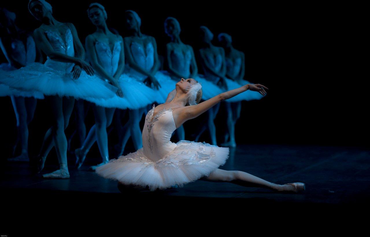 Swan lake ballet reviewed Ballet News Straight from the stage 1280x821