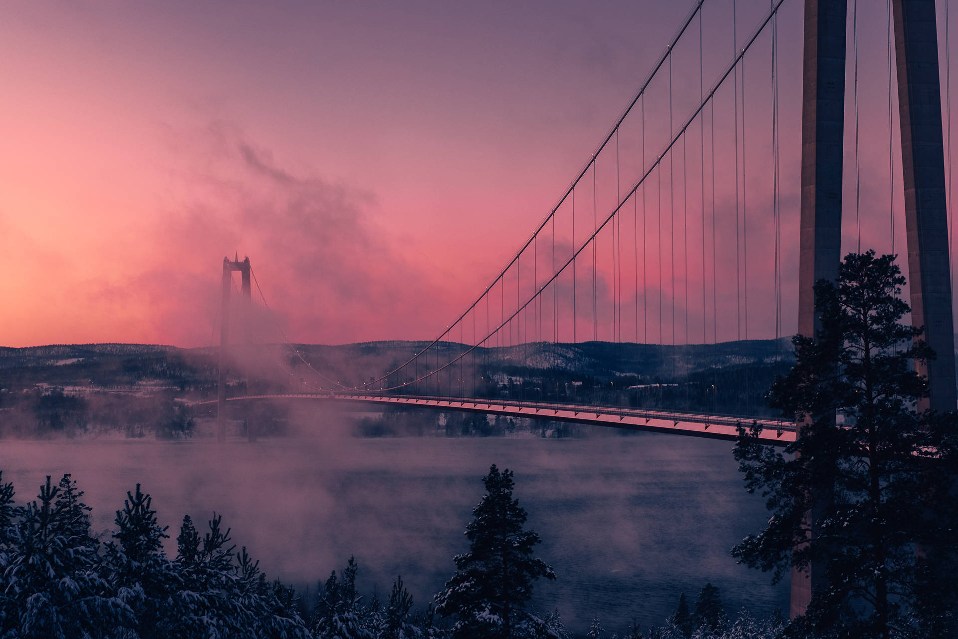 Trendy Aesthetic Wallpaper