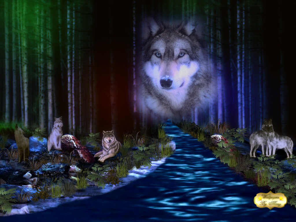 Mystic Forest X Wallpaper