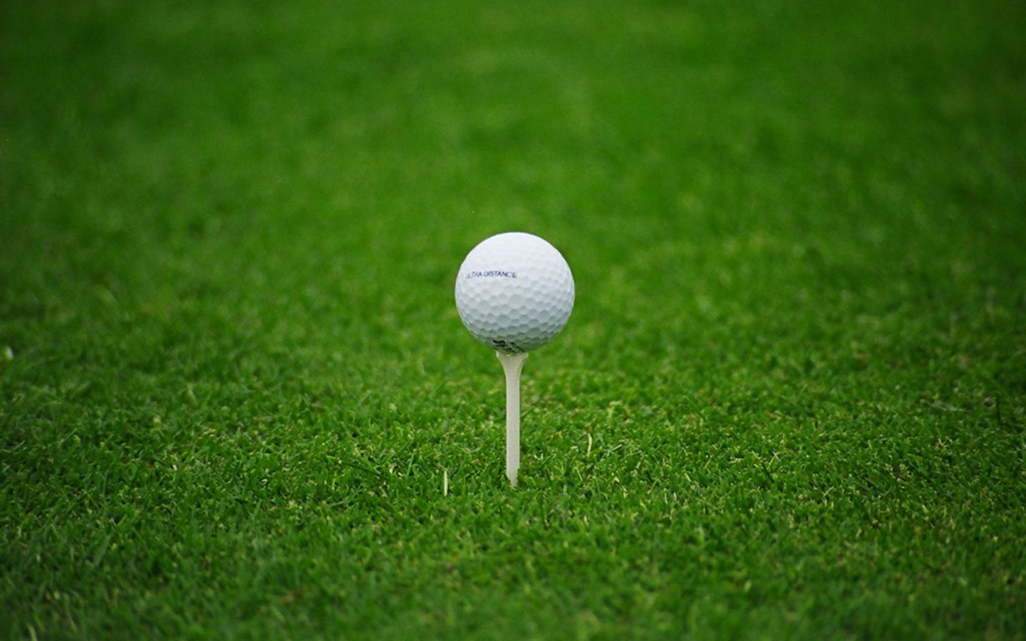 Golf Ball Grass Pc Widescreen Wallpaper