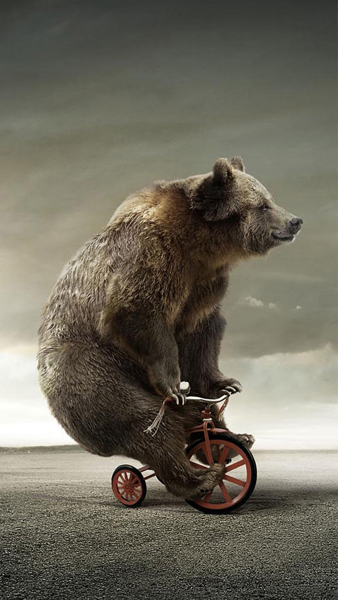 Animal iPhone Wallpaper