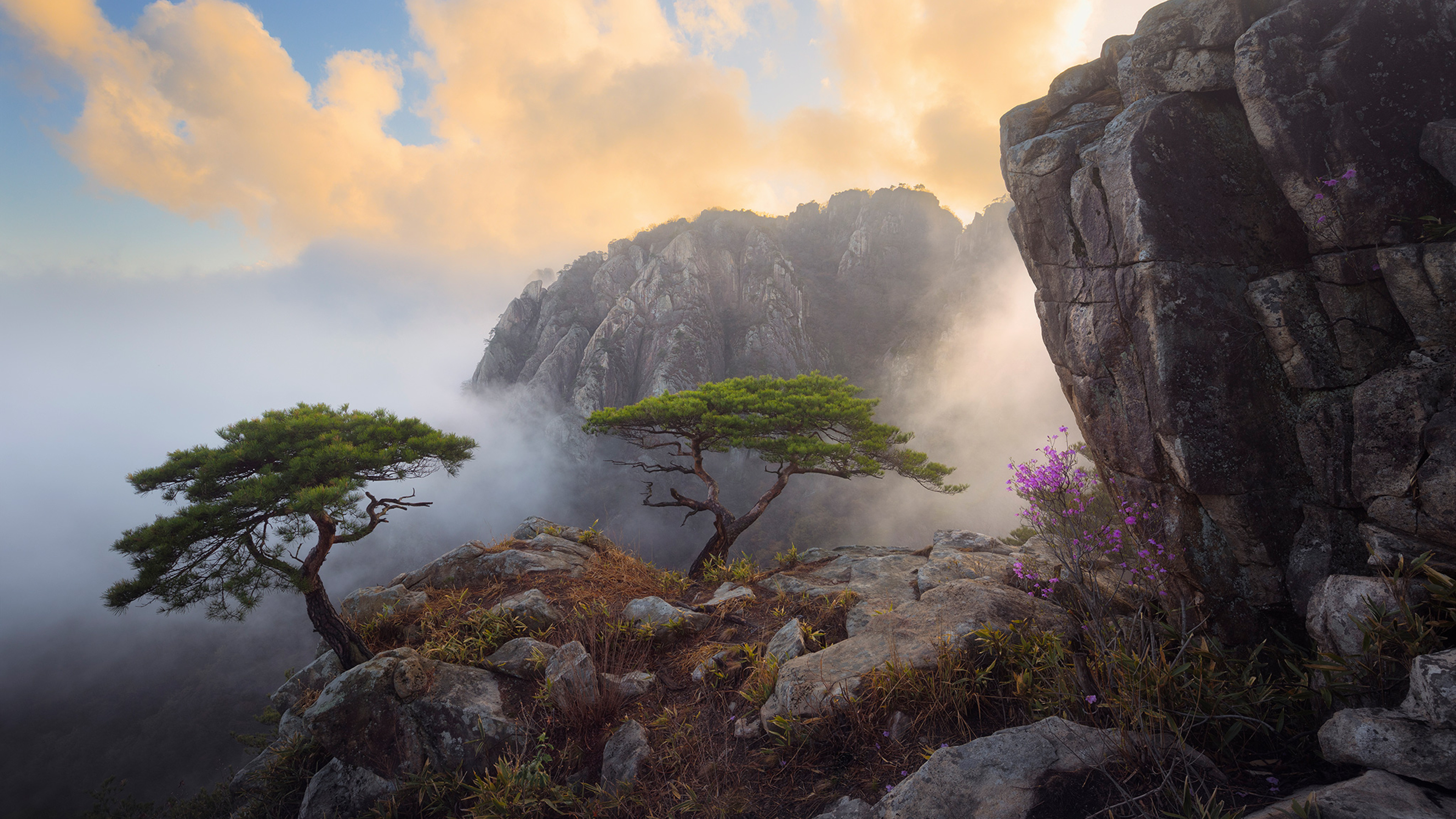 Daedunsan South Korea 4k HD Wallpaper Image Photos And Picture