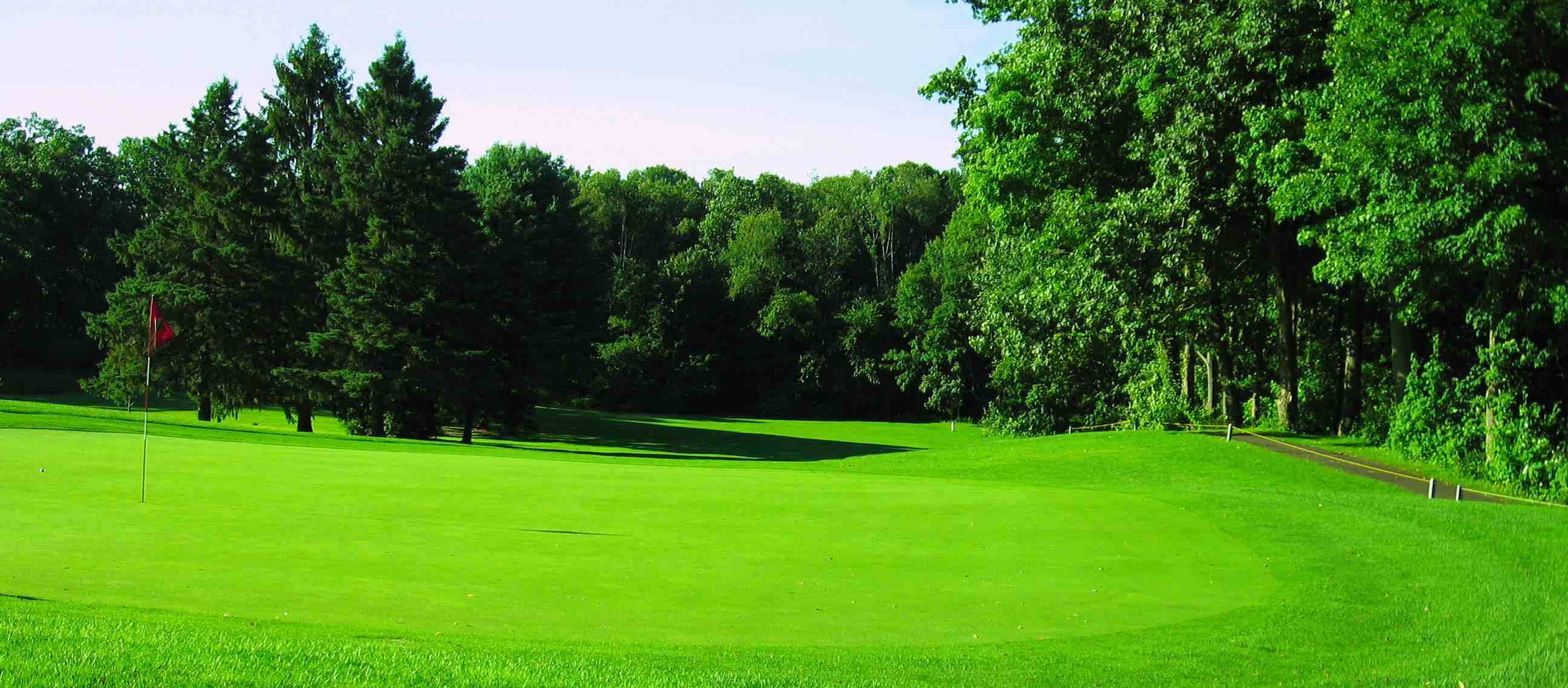 Free download Golf Course Green 1593 Hd Wallpapers in Sports
