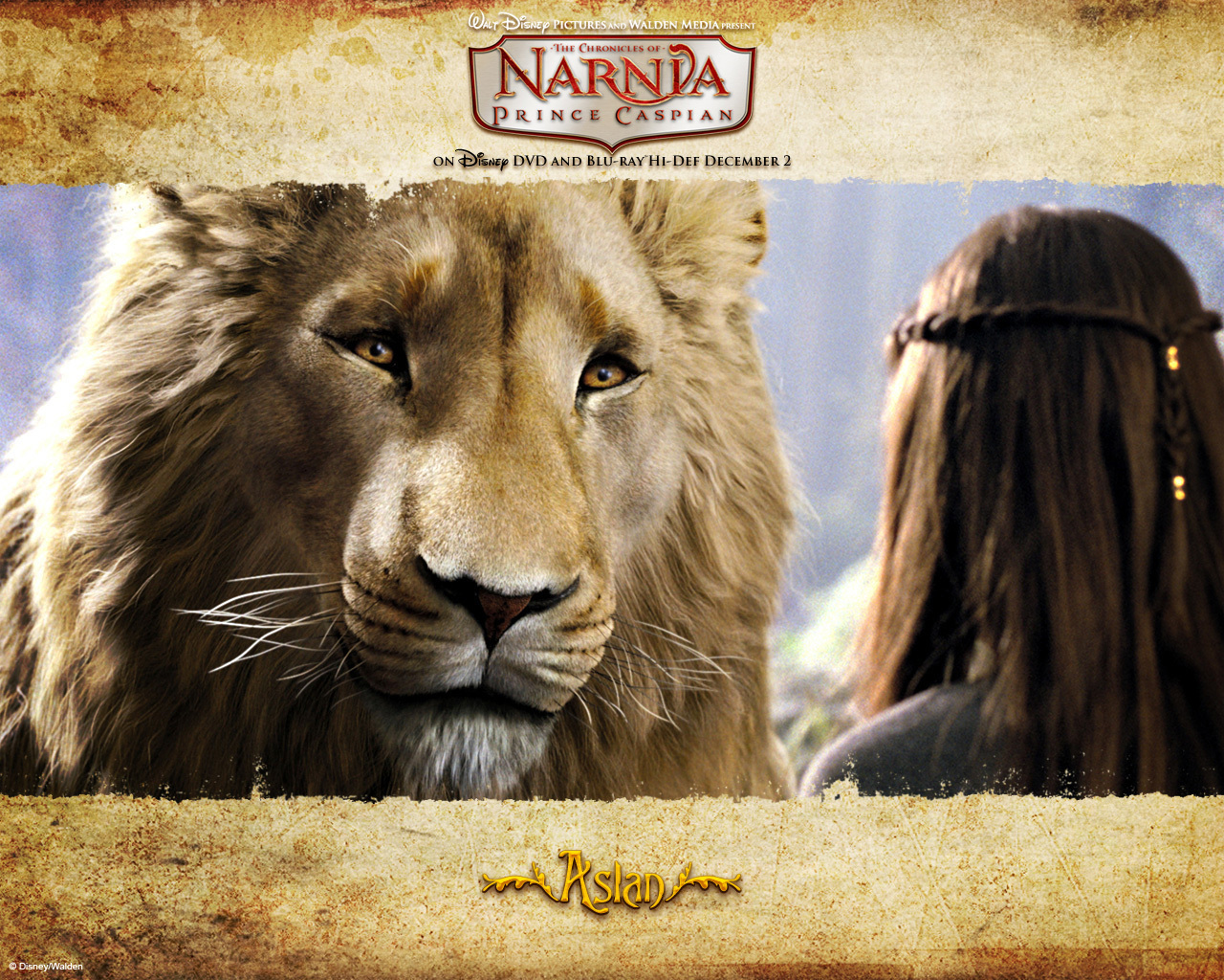 Chronicles Of Narnia The Lion Witch And Wardrobe Wallpaper
