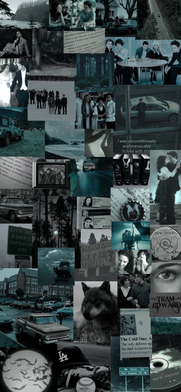 Captivating Aesthetic Wallpaper For Twilight Lovers