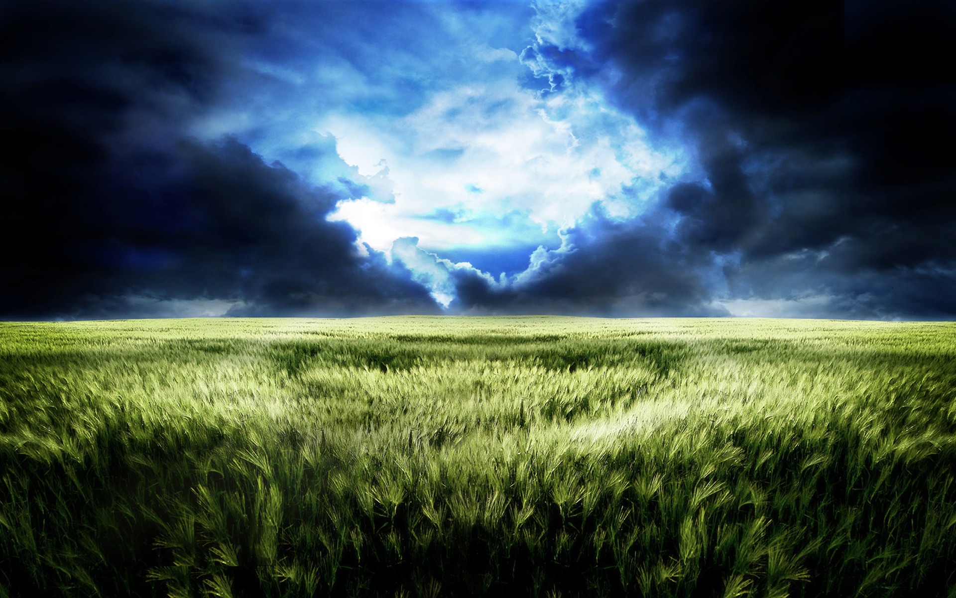 Stormy Field Desktop Wallpaper