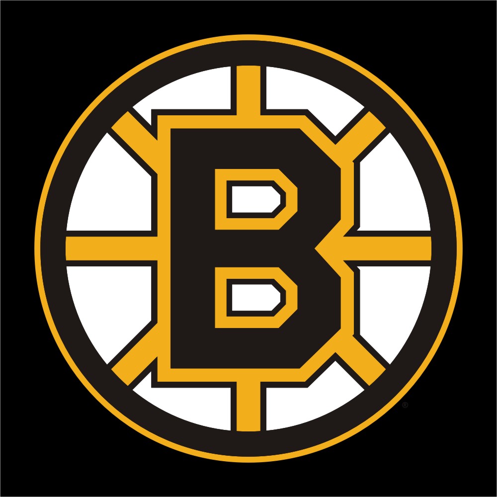 Boston Bruins Wallpaper Meet The Bear Pics HD Image