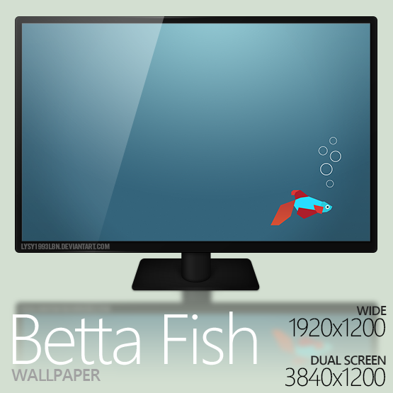 Betta Fish Wallpaper By Lysy1993lbn Windows