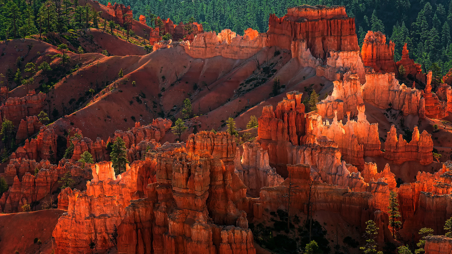 wallpapers usa utah national park bryce canyon 1920 x 1080 desktop