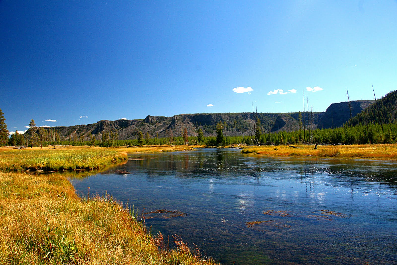 Fly Fishing In Yellowstone National Park
