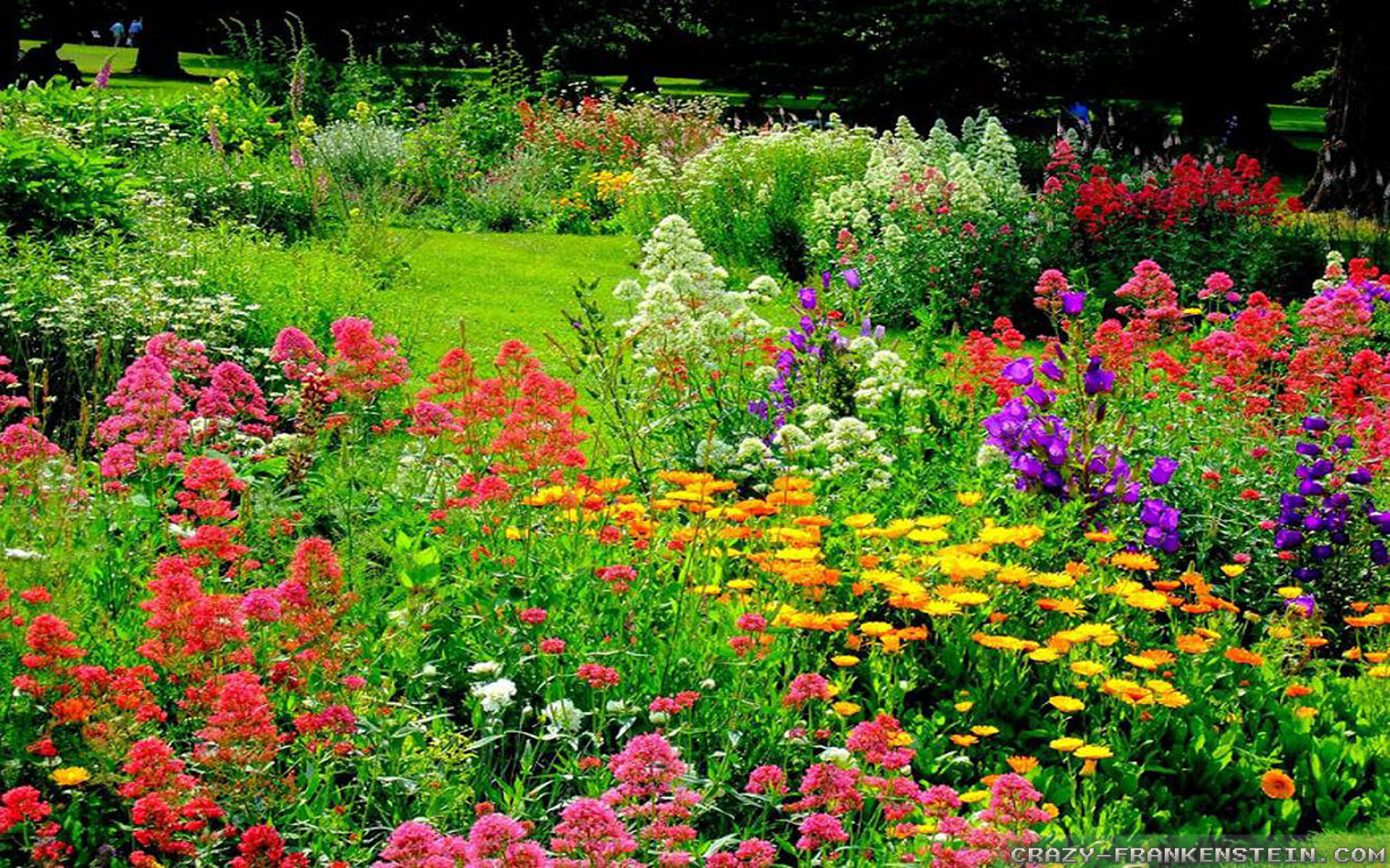 Colorful Beautiful Flower Garden Wallpaper