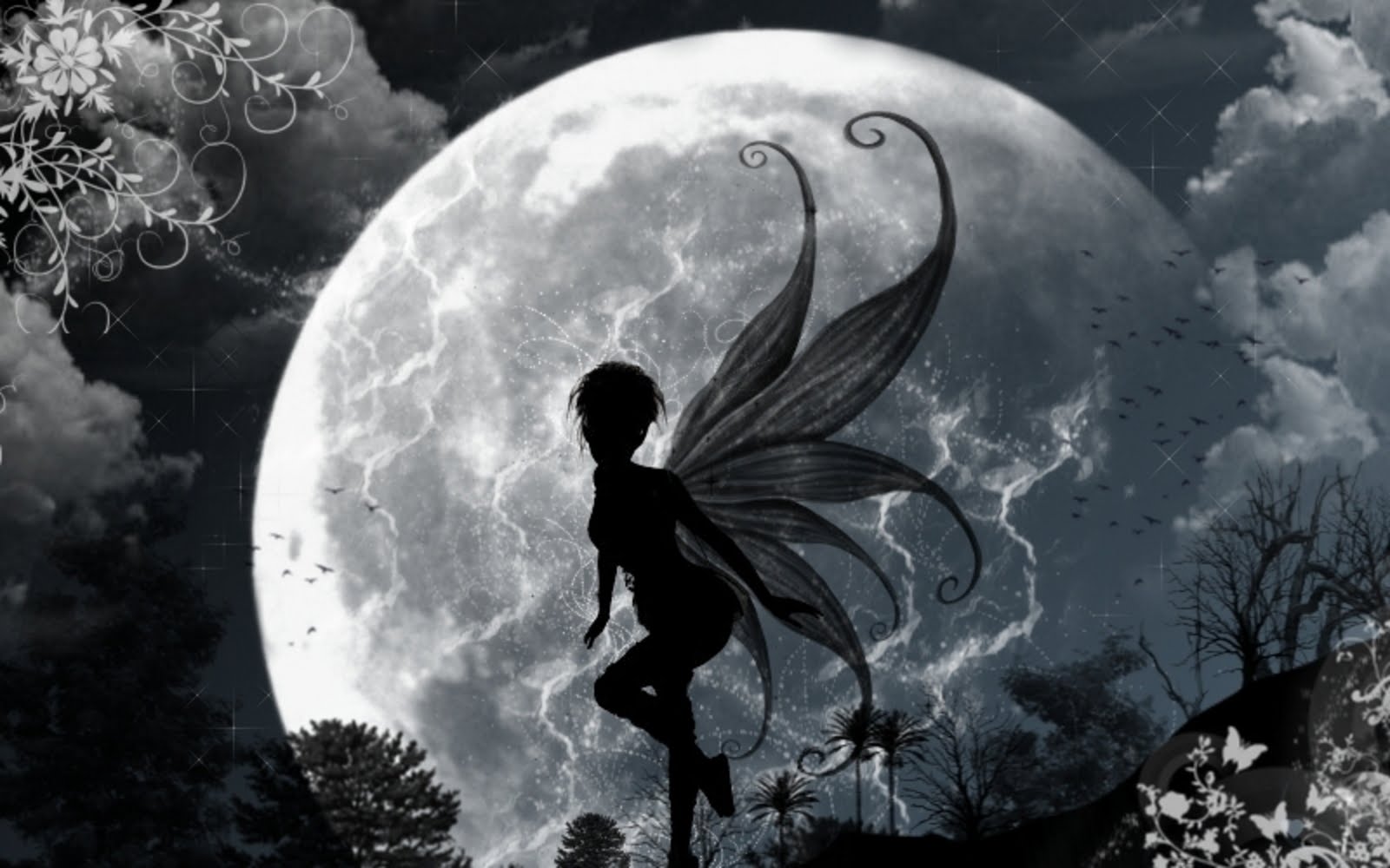 Dark Fairy In Moonlight Wallpaper Here You Can See