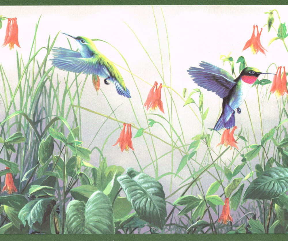 Humming Birds In Flower Garden Grn Wallpaper Border Wall