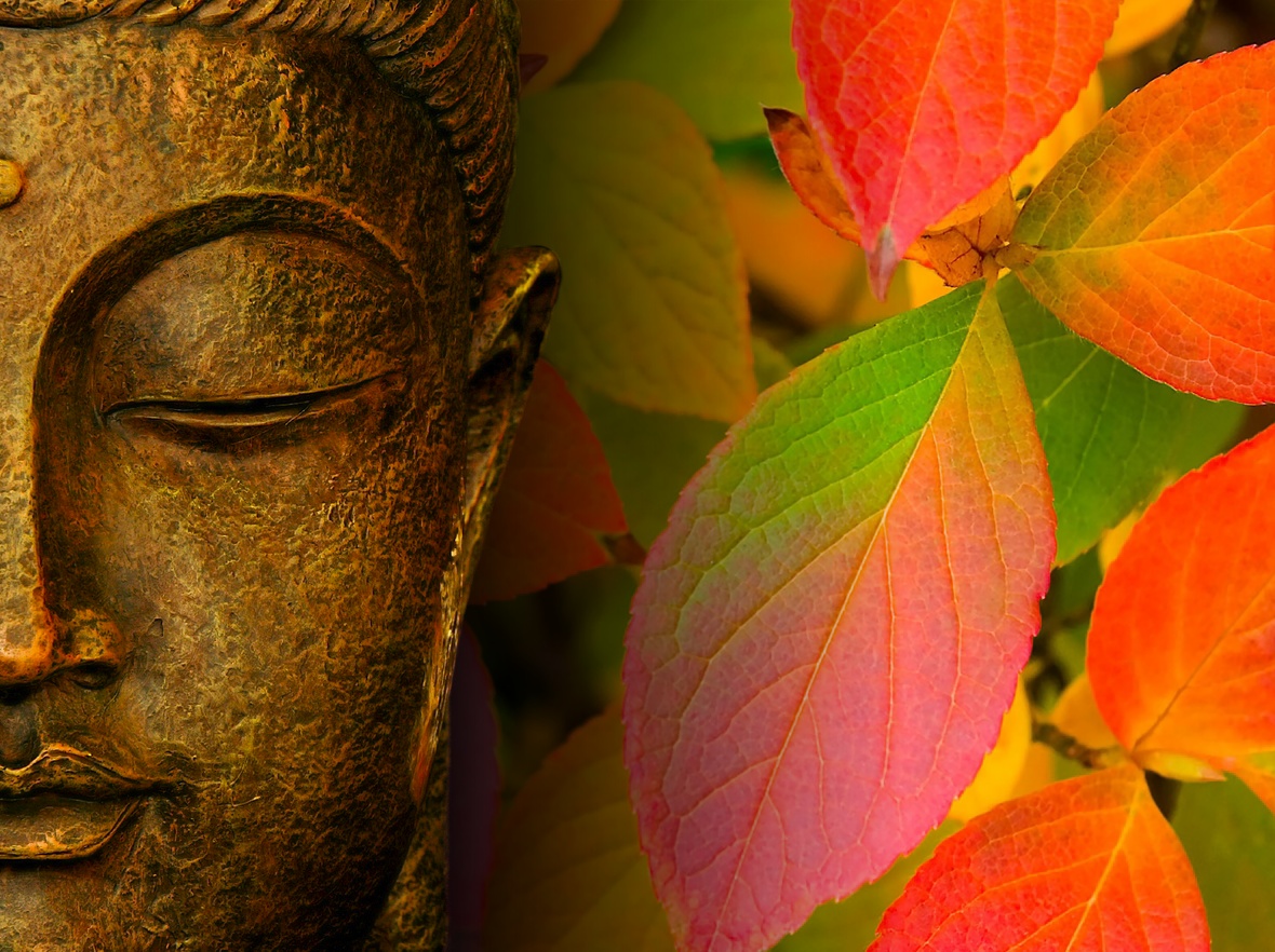 Pictures Of The Buddha Wallpaper Autumn