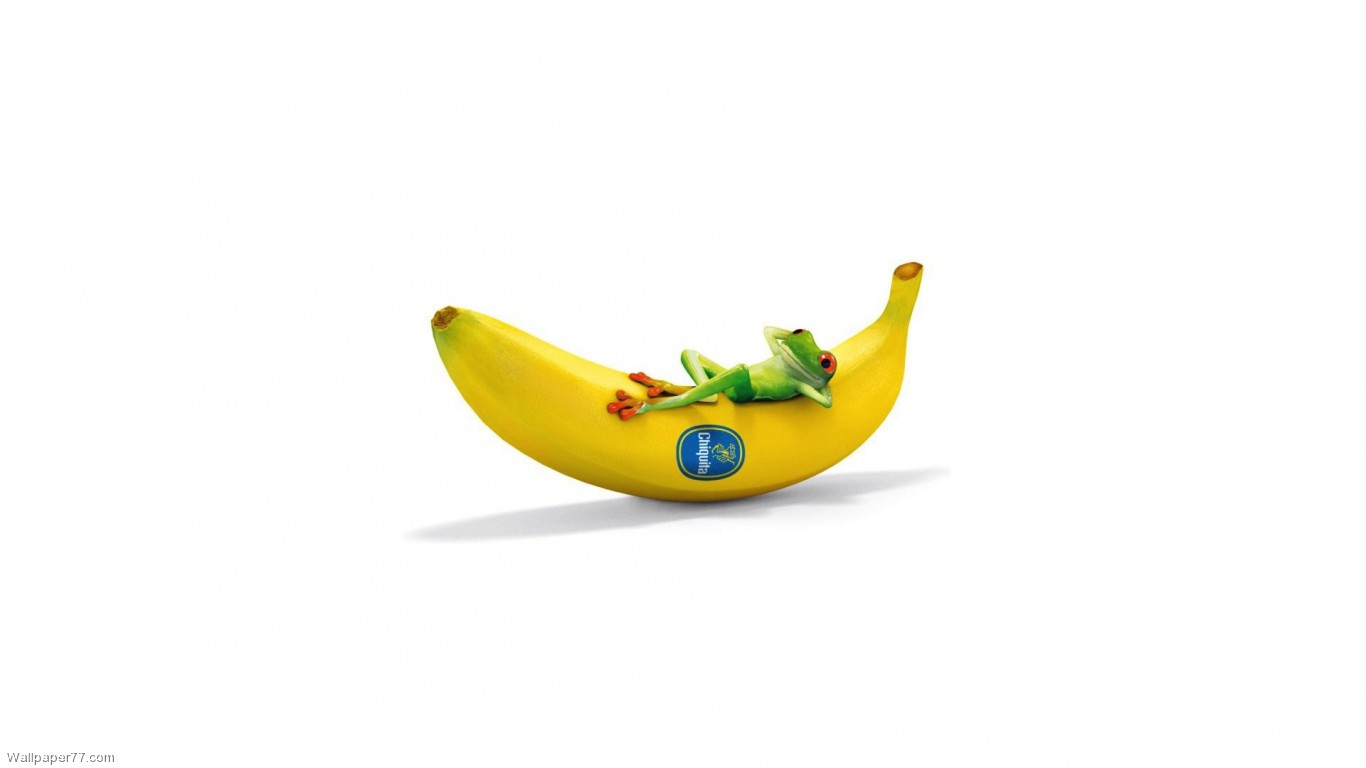 Chiquita With Frog Funny fun wallpapers funny wallpapers cute 1366x768 1366x768