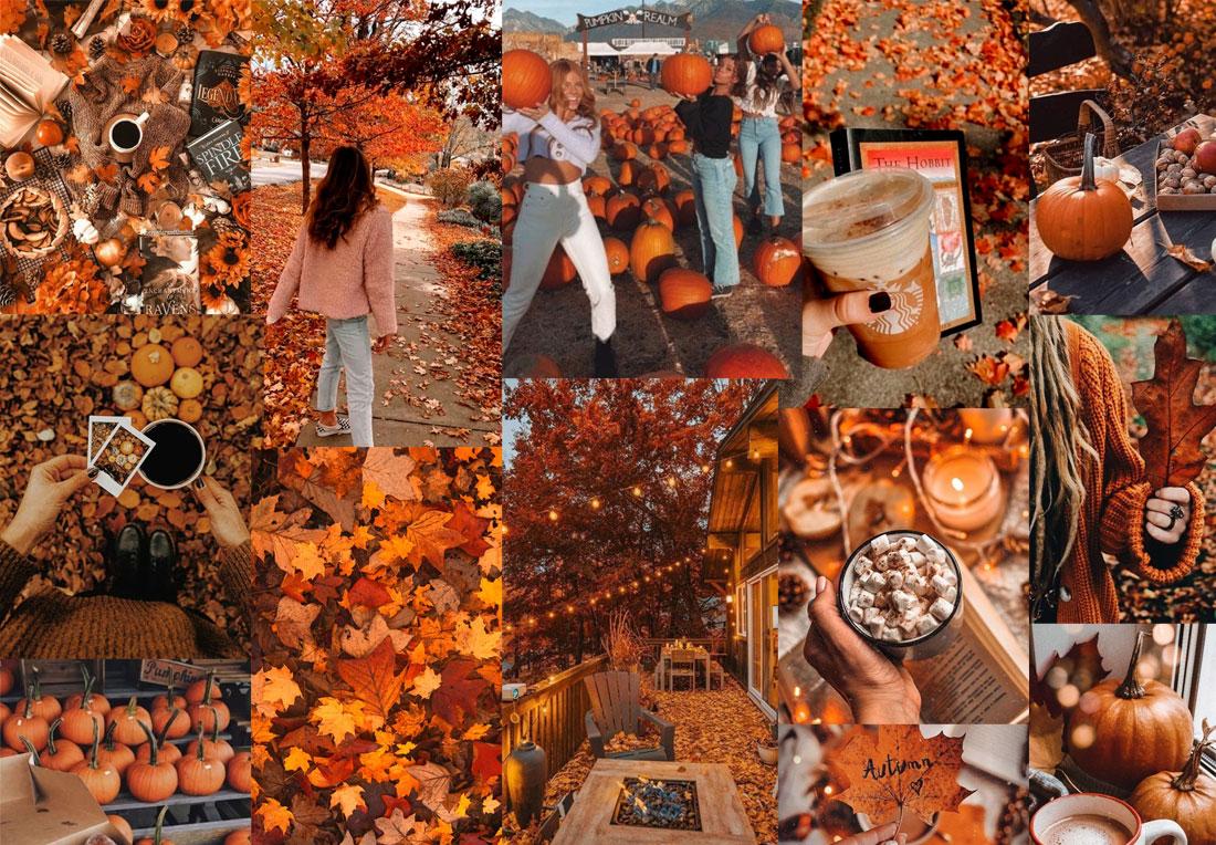 Autumn Collage Wallpaper Cozy For Pc Fab Mood