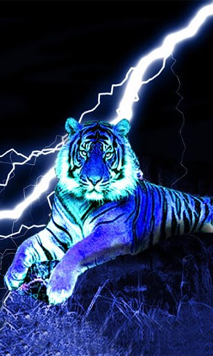 Bigger Night Tiger Live Wallpaper For Android Screenshot