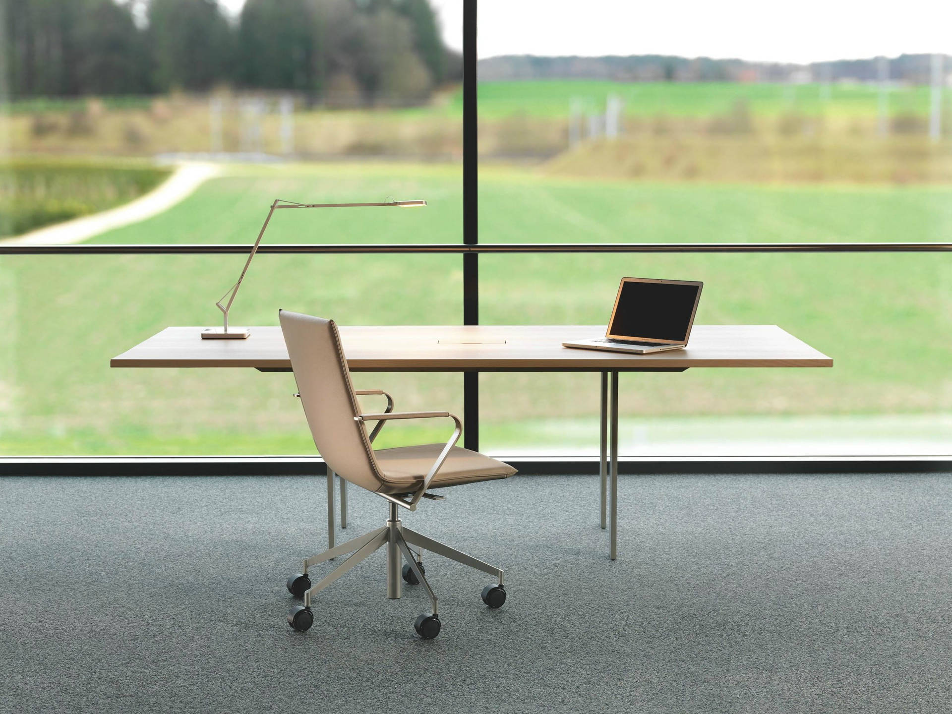Zoom Office With Glass Wall Wallpaper
