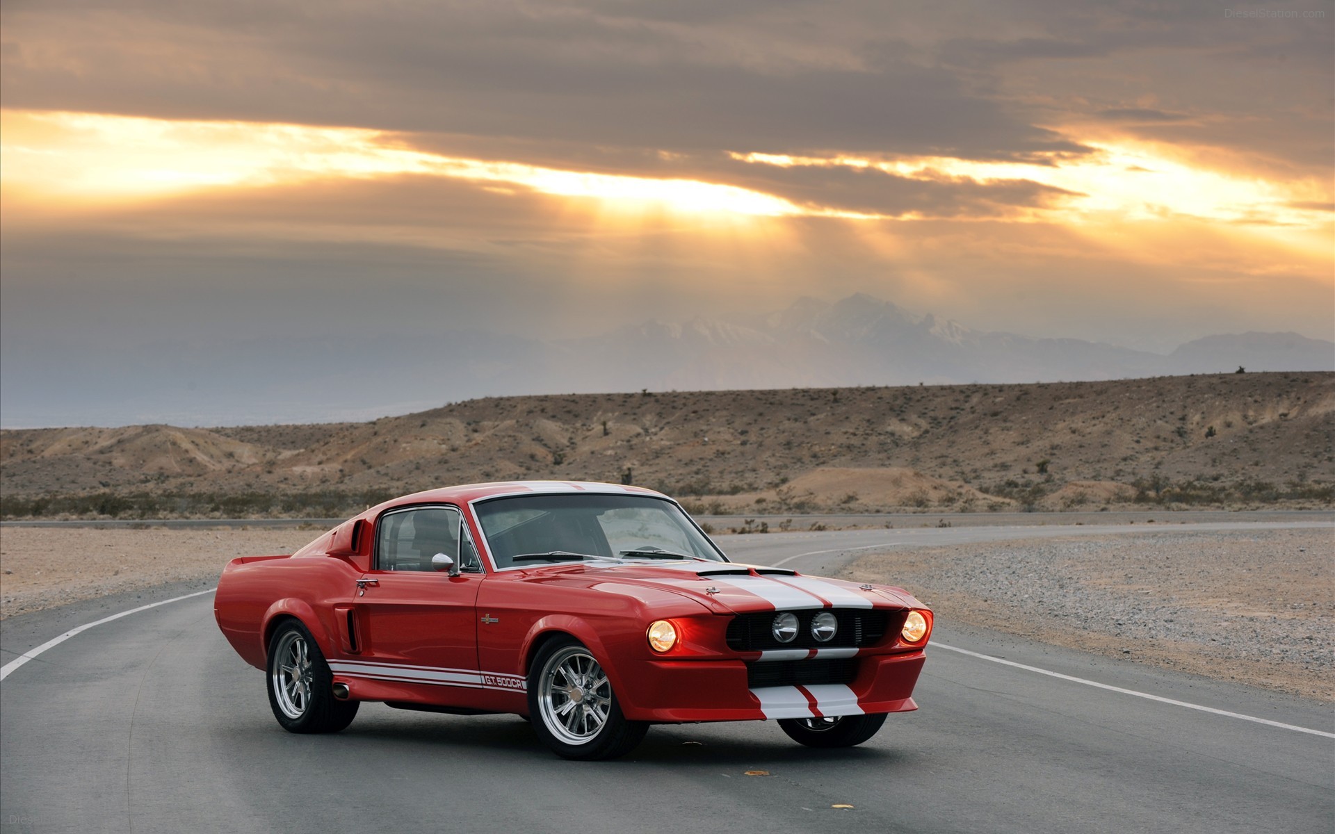 Mustang Shelby Fastback Cars
