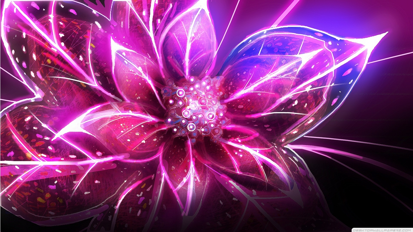 Flower Pink Purple Blue Hd Wallpaper Res