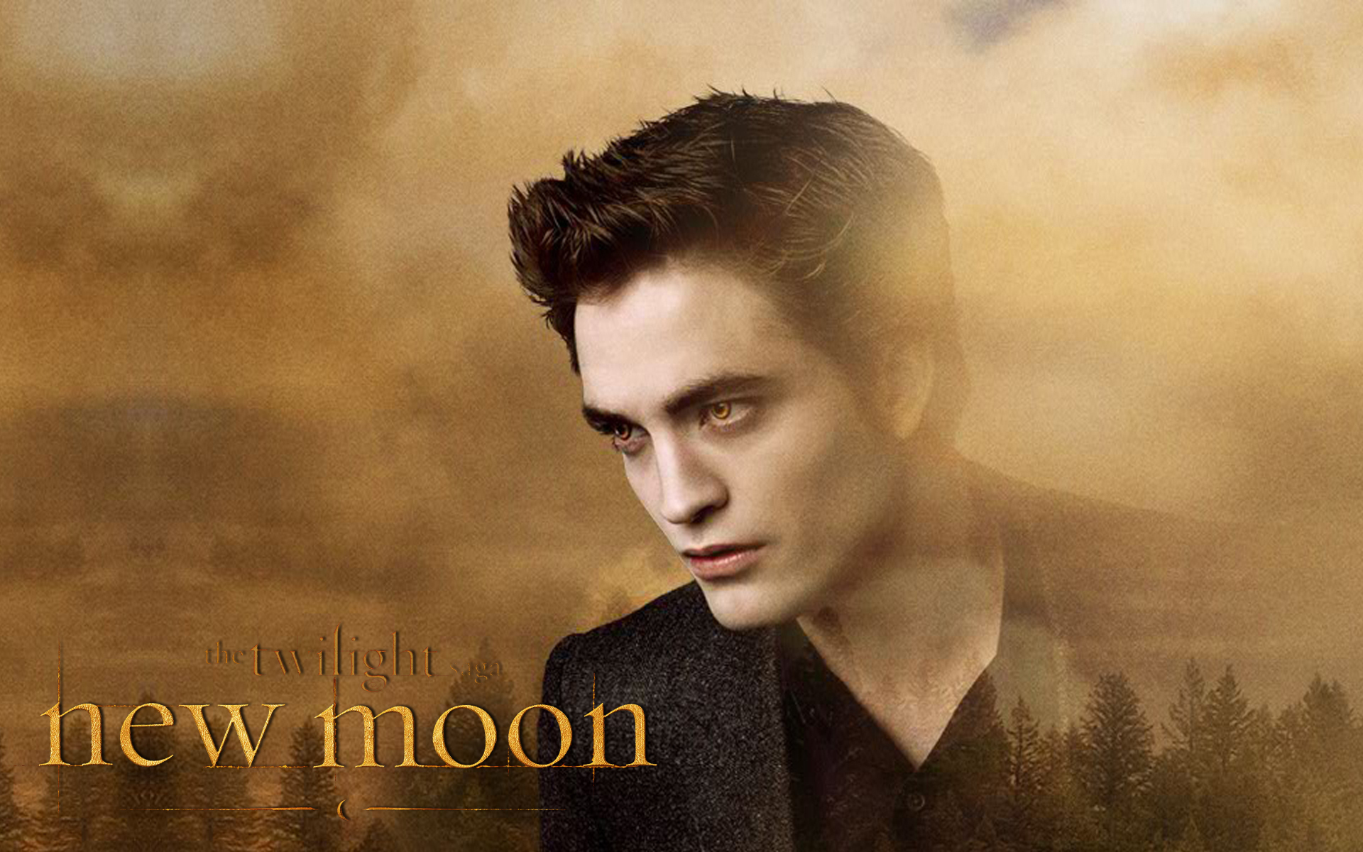 Edward Cullen Wallpaper Twilight Series