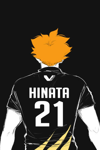 Hinata Shoyo Wallpaper