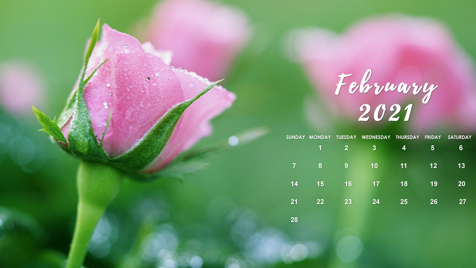February Calendar Wallpaper Desktop Laptop Puter Background