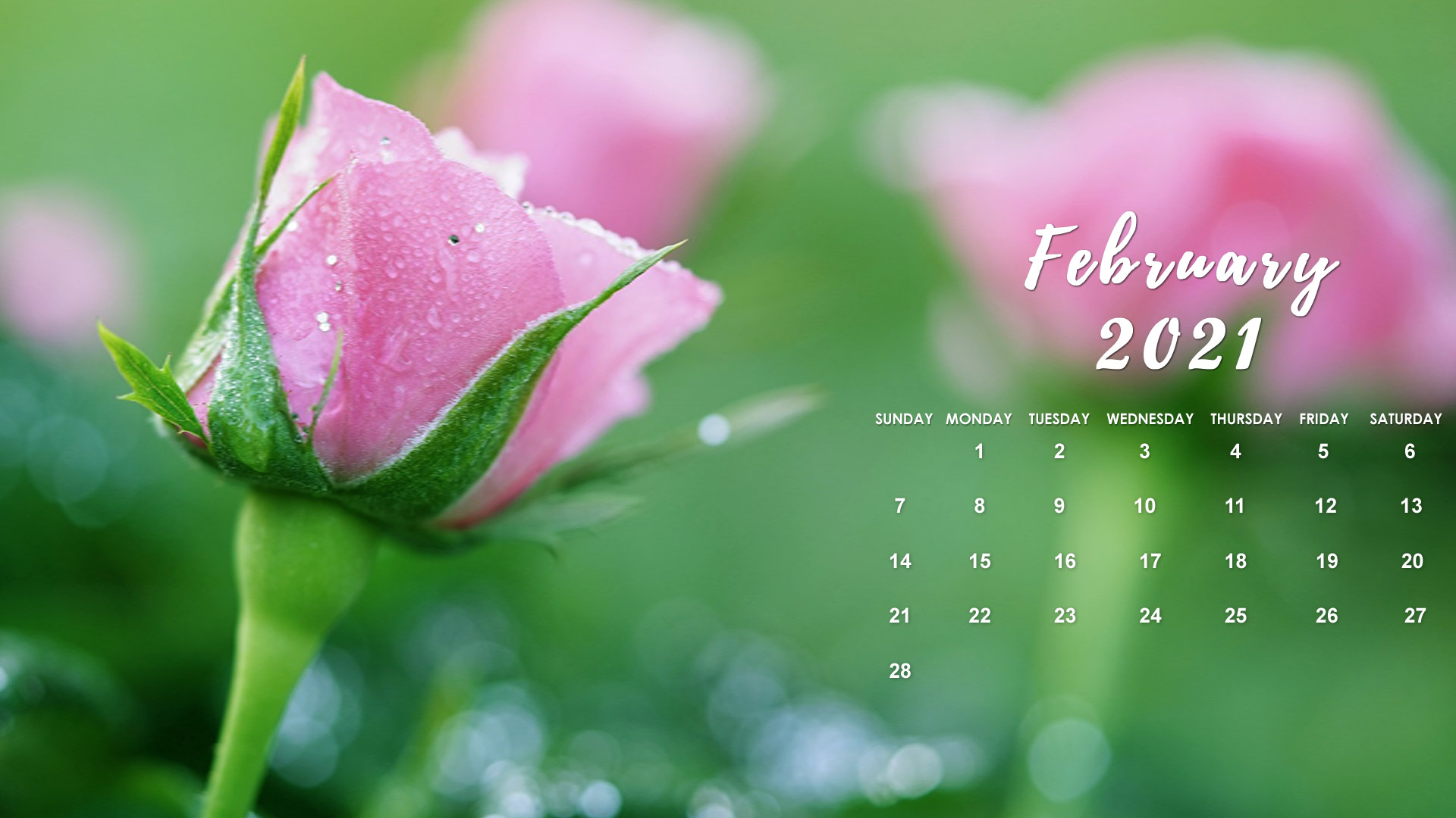 Featured image of post February 2021 Calendar Wallpapers / Colored and black &amp; white calendars practically useable in minimal yet elegant styles.