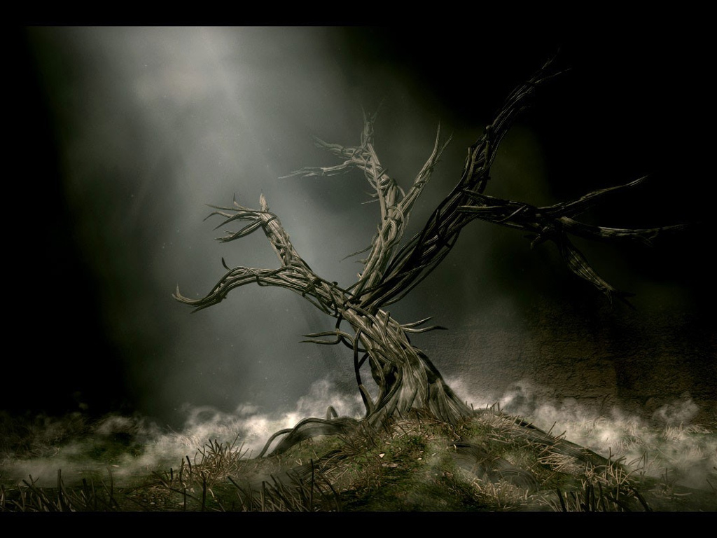Twisted Tree Fantasy Landscapes Wallpaper Image