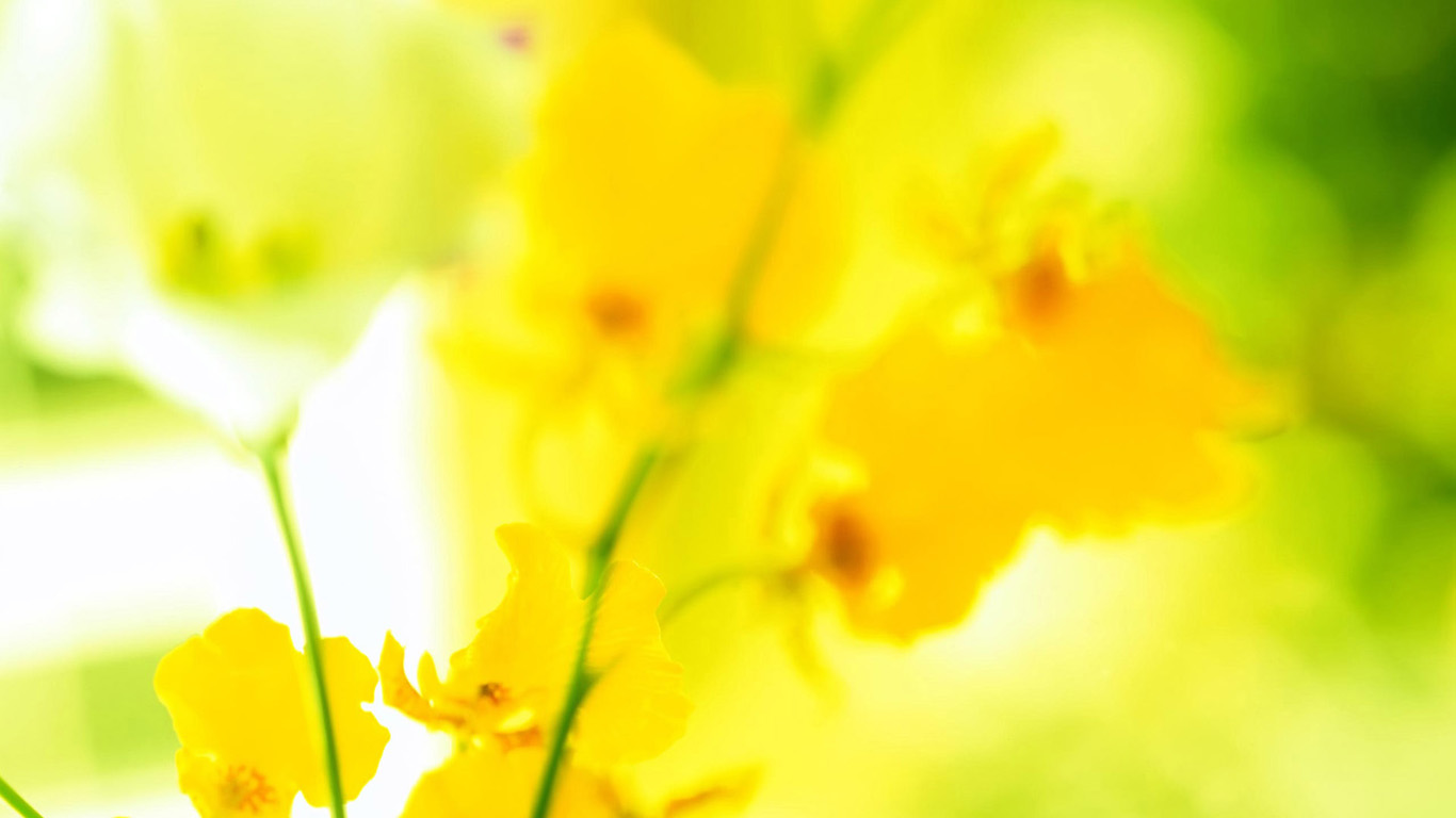 Desktop Best Wallpaper 3d Yellow Flowers