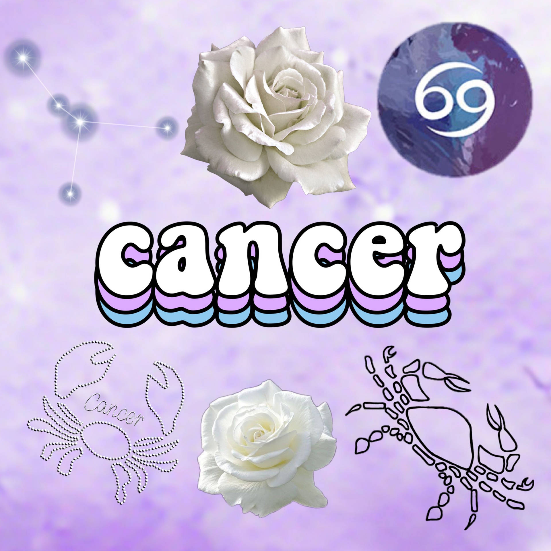 Zodiac Signs Wallpaper
