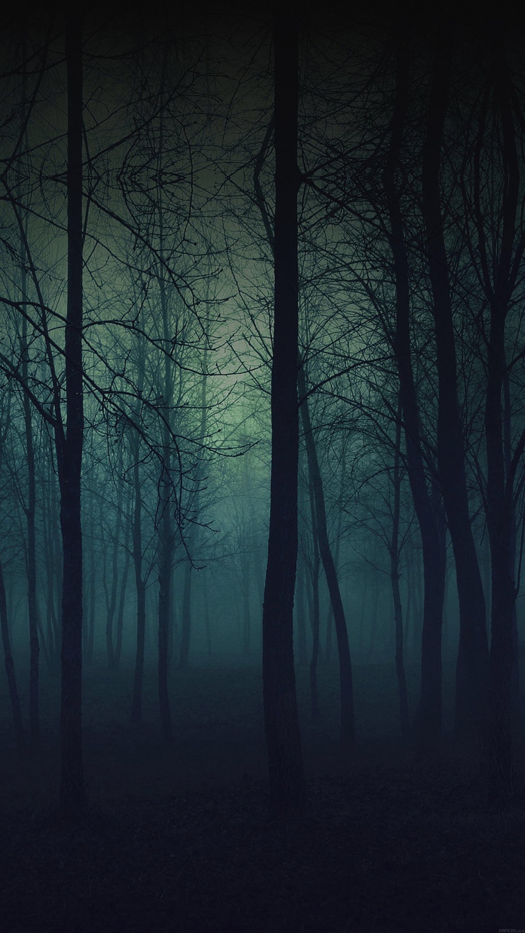 Eerie Forest Night iPhone Plus HD Wallpaper Ipod