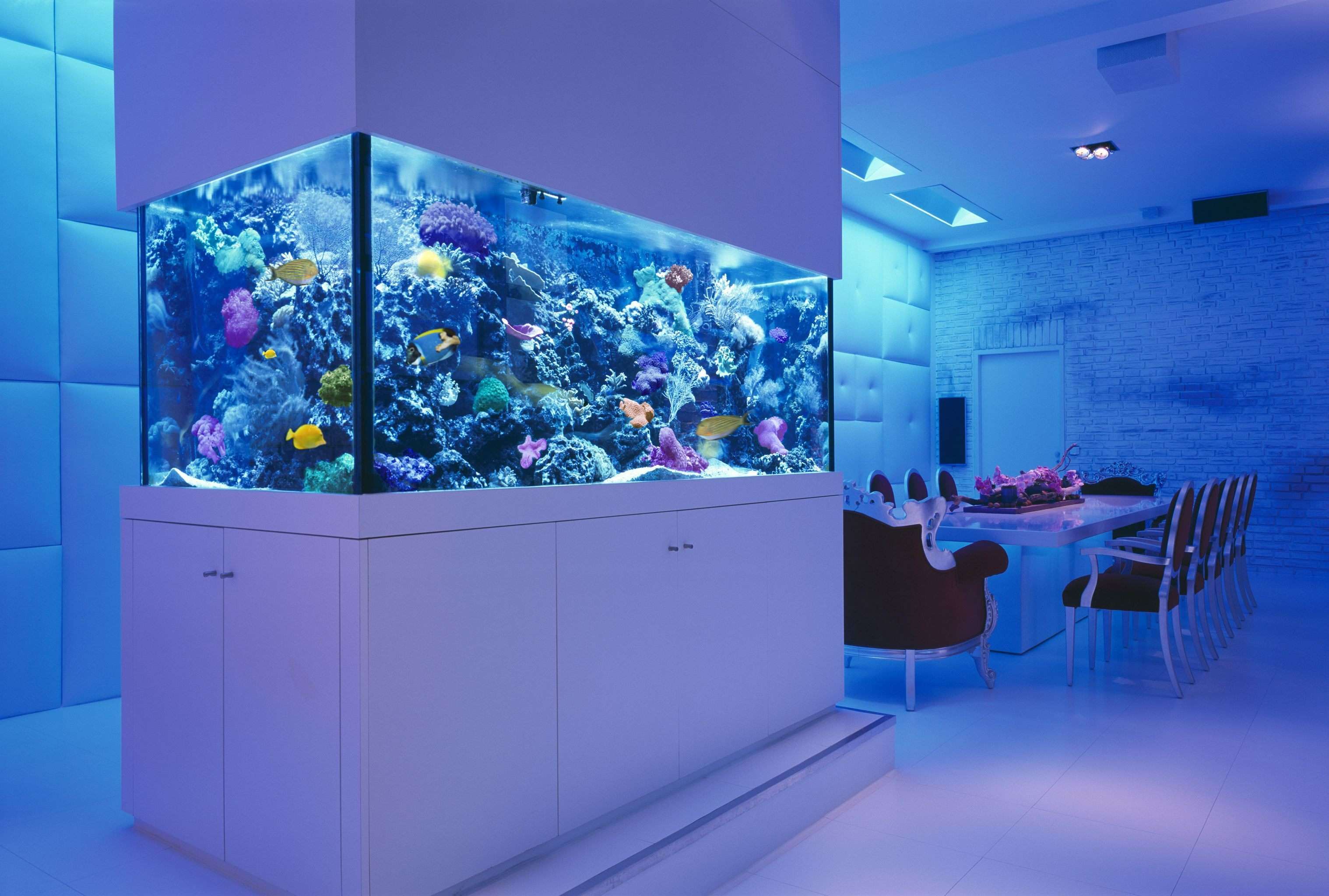 Wallpaper Interior Room Table Chairs Sea Aquarium Fish Corral Design