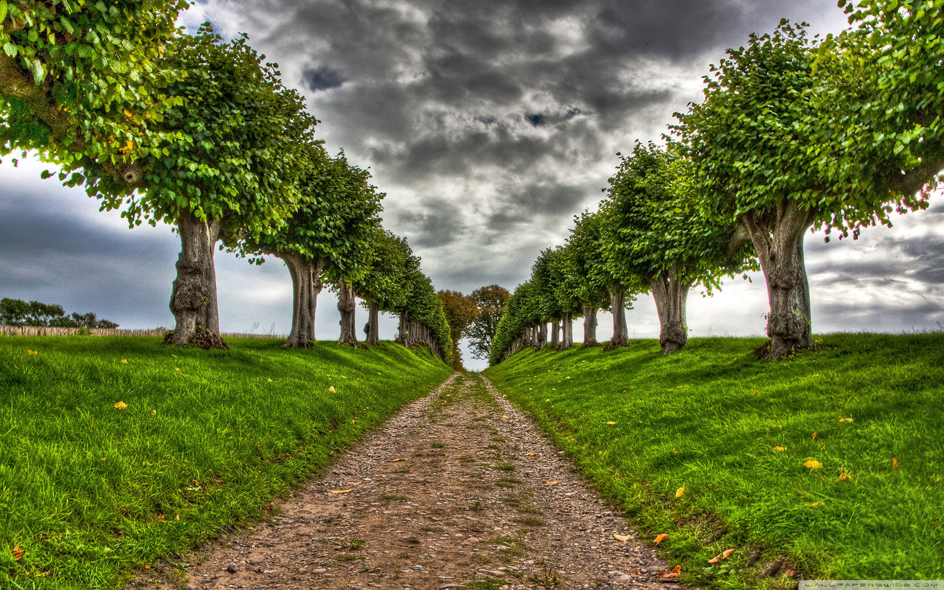 HD Nature Wallpaper For Desktop