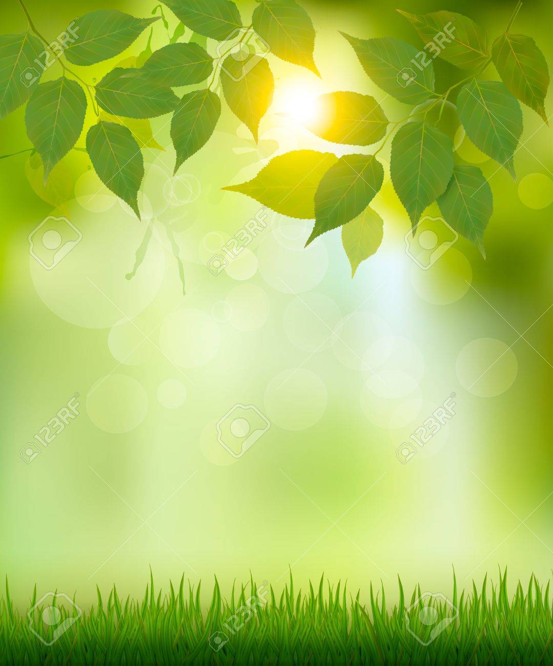 Summer Nature Background With Green Leaves Vector Royalty 1079x1300
