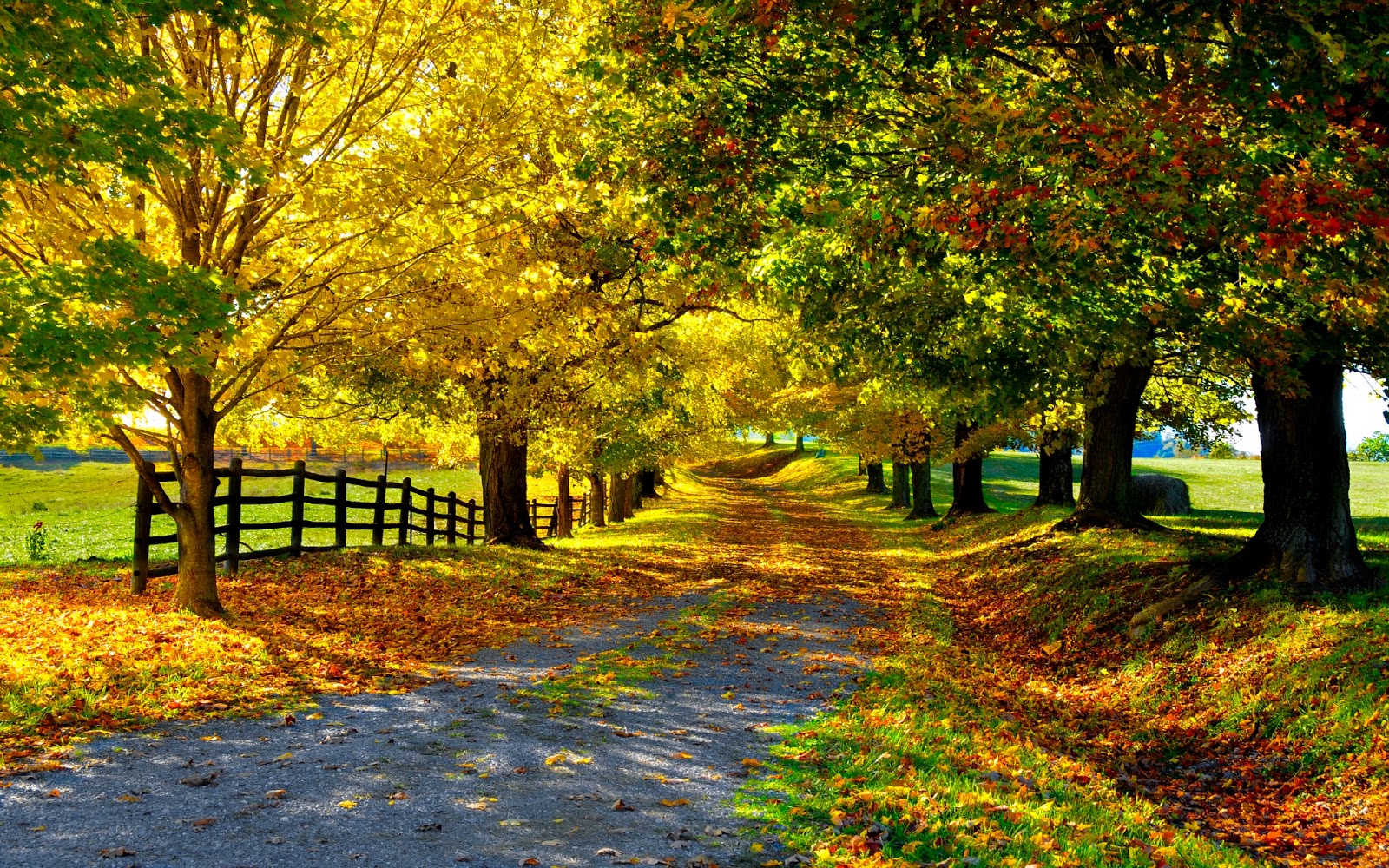 Beautiful Autumn Wallpaper Most Places In The World