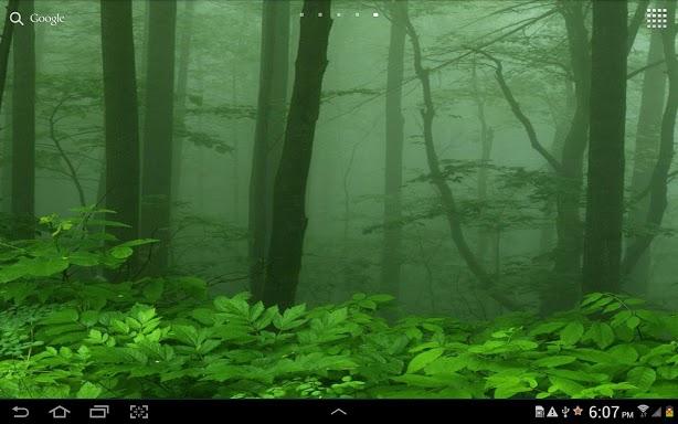 Forest Live Wallpaper Screenshot