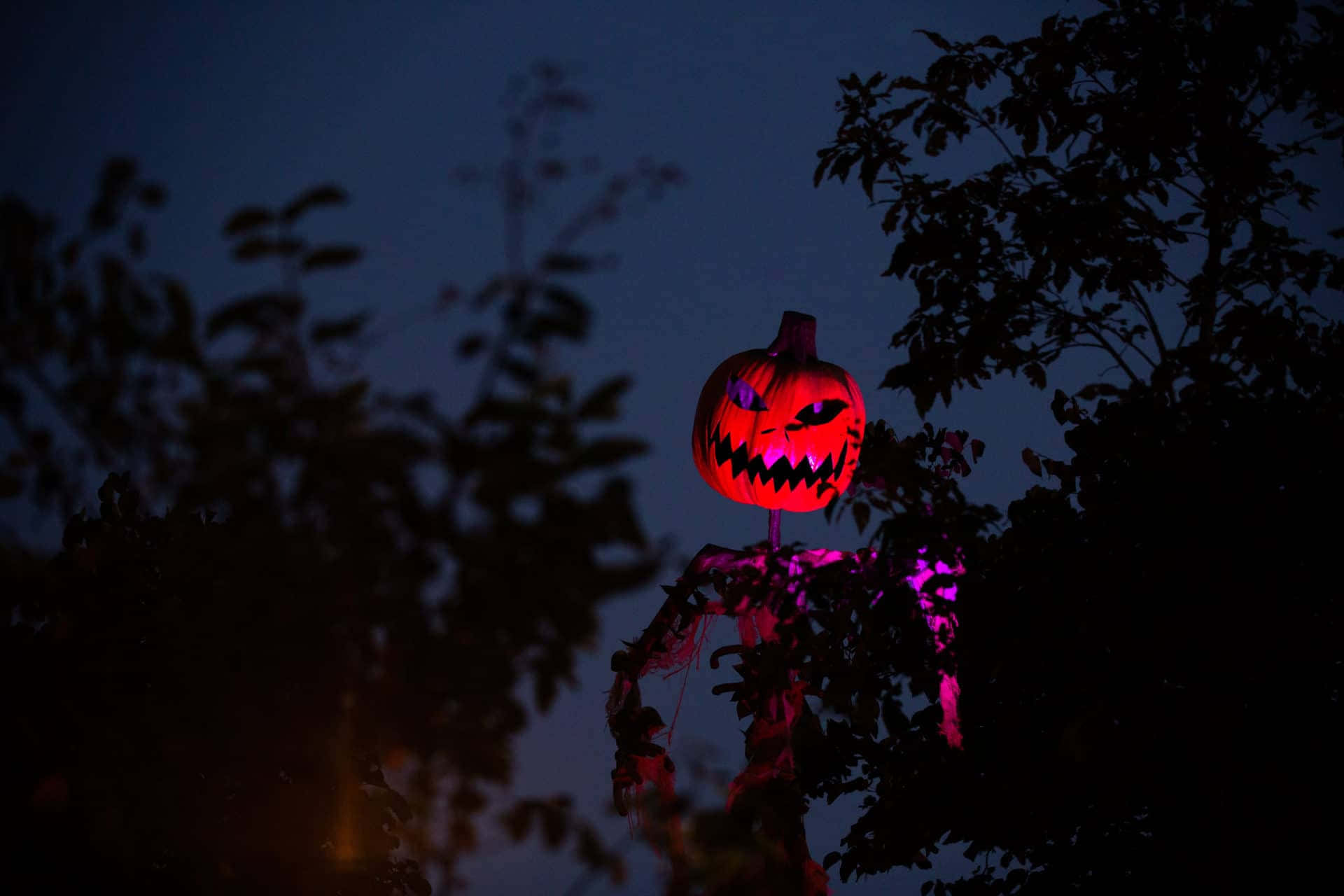 Spooky Halloween Wallpaper