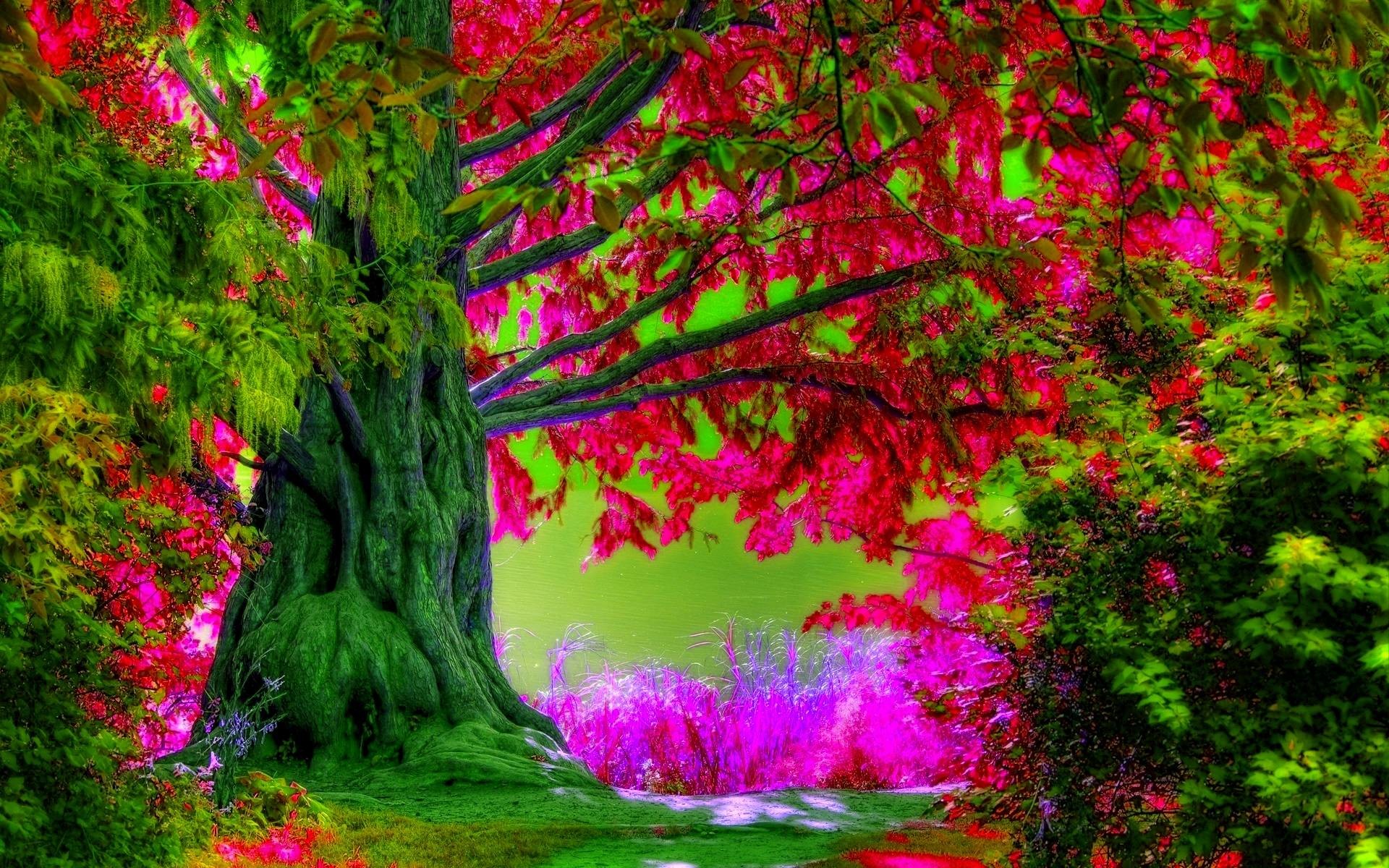 Spring Desktop Background Wallpaper