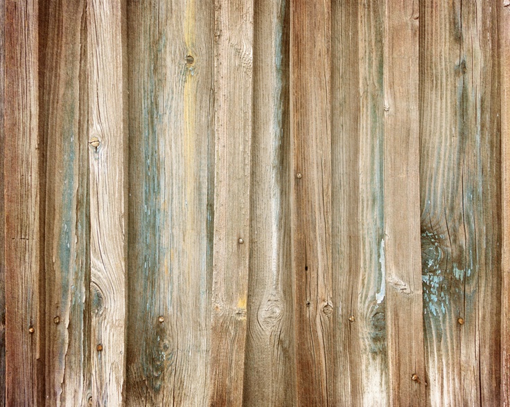 Old Wooden Planks Wall Mural Eazywallz Way Cool Walls