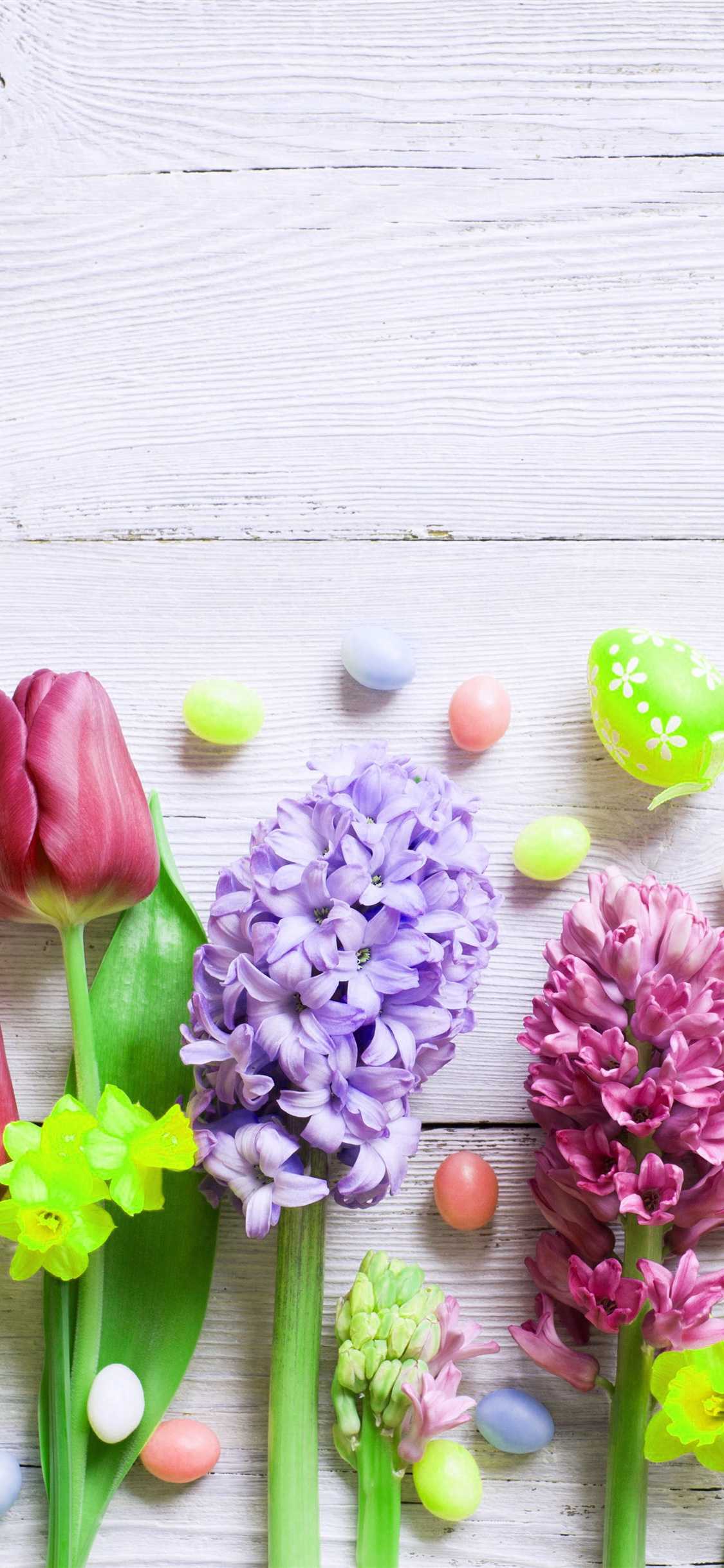 Hyacinth Background Wallpaper