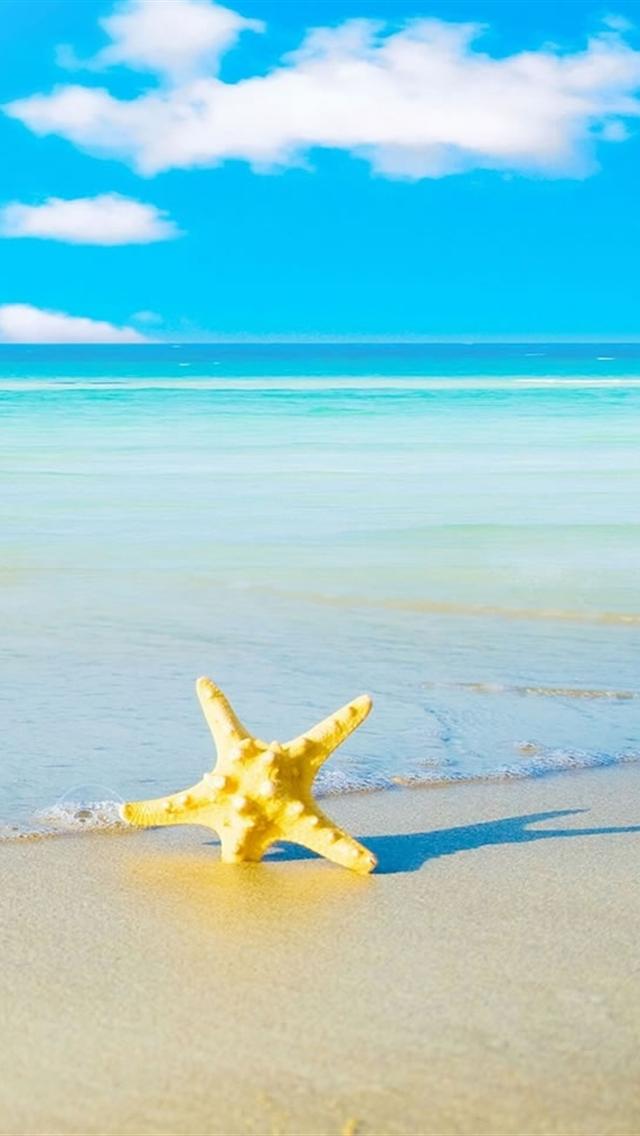 Starfish Beach iPhone Wallpaper