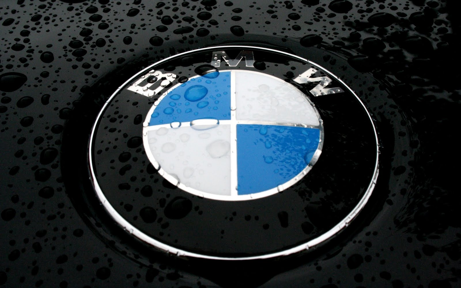 Hot cars BMW logo bmw 2011 logo bmw logo png jpg 1600x1000