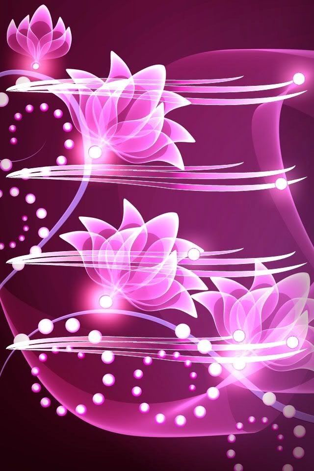 Here Is Some Cute Stuff Neon Wallpaper Pink Rose
