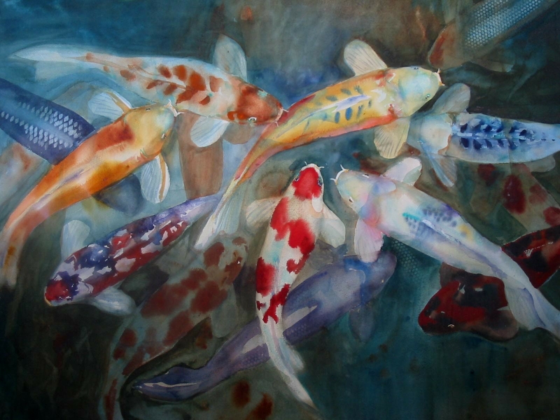 Koi Watercolor Wallpaper Fish Desktop