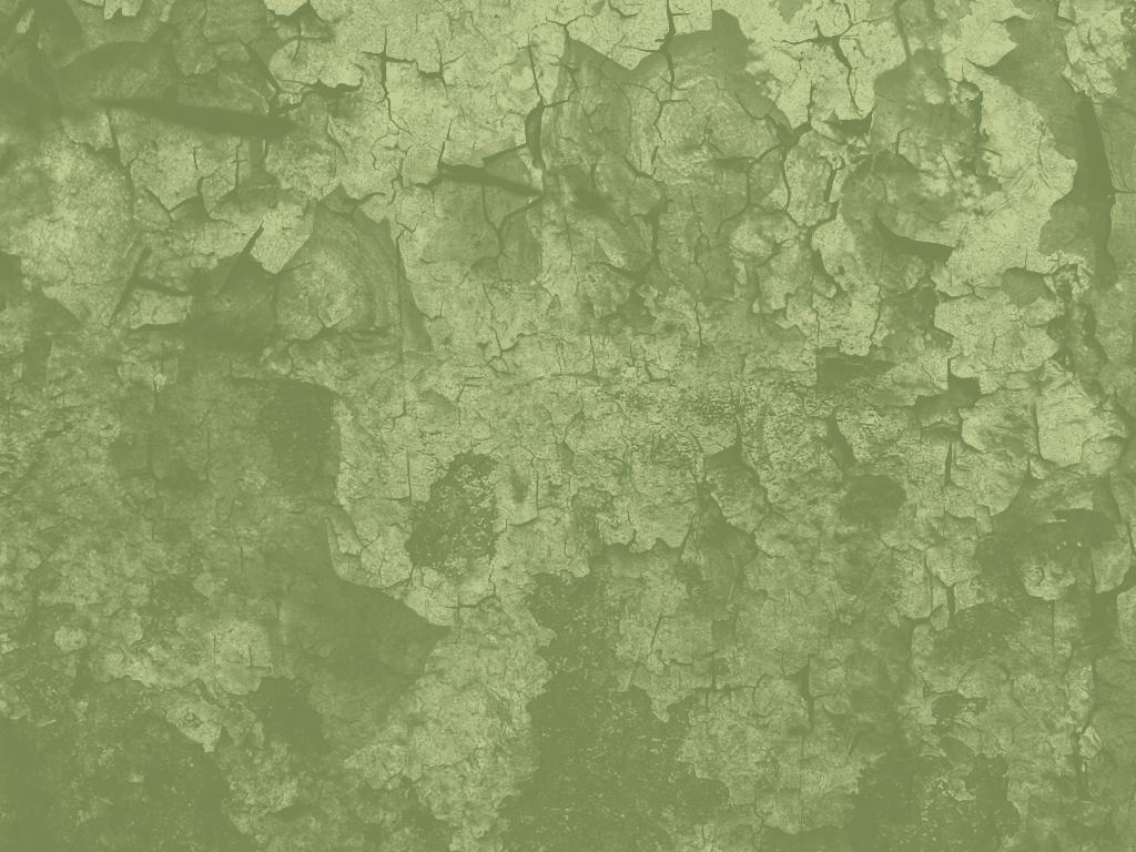 The Best Aesthetic Sage Green Computer Background Wallpaper