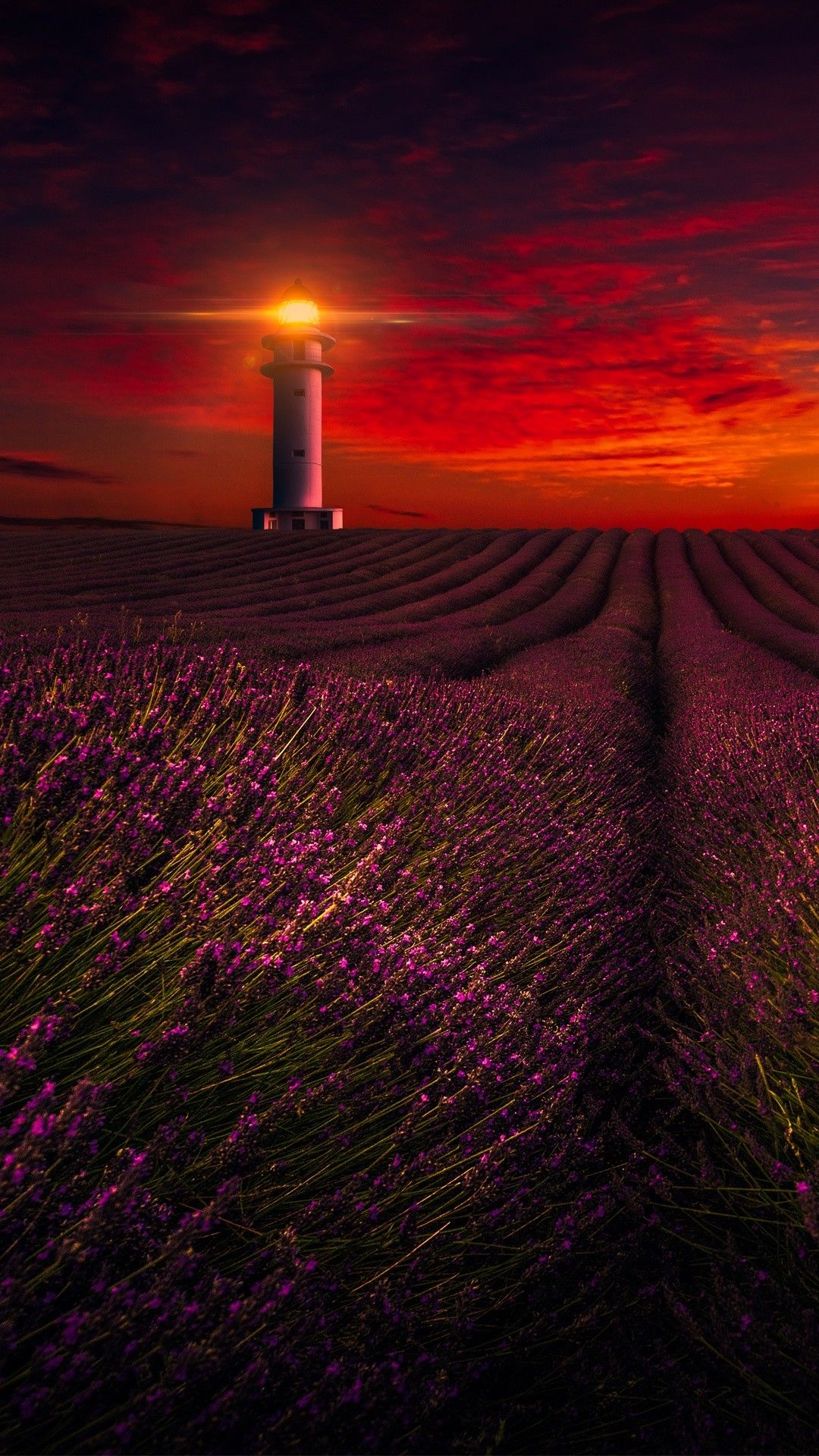 Sunset Lavender Field Lighthouse Phone Wallpaper By Ahmltn896