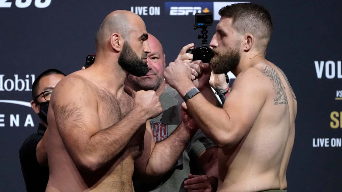 Shamil Abdurakhimov And Chris Daukaus Ufc Face Wallpaper